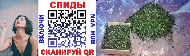 omg ONION  где можно купить   Прокопьевск  Бутират Butirat 