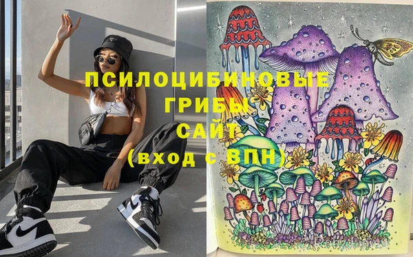 стафф Абинск