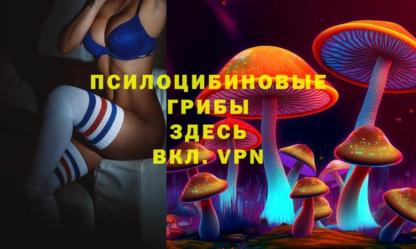гашиш Абаза