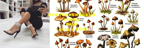 гашиш Абаза