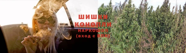 стафф Абинск