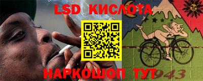 шишки Партизанск