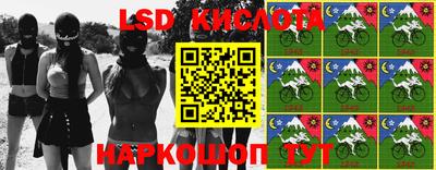 шишки Партизанск