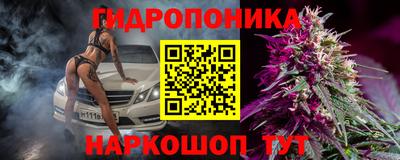 шишки Партизанск