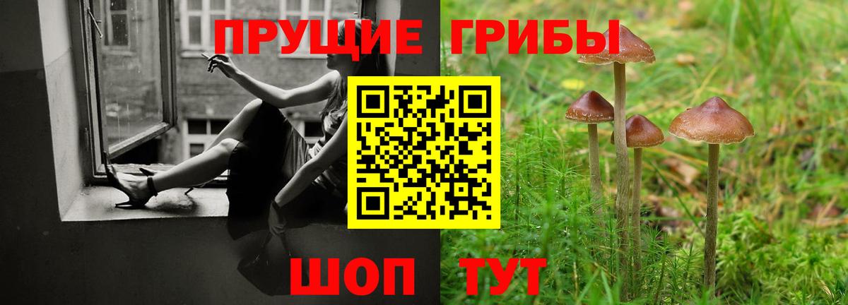Прокопьевск  Галлюциногенные грибы Psilocybine cubensis  Вход с VPN  Псилоцибиновые грибы Magic Shrooms 